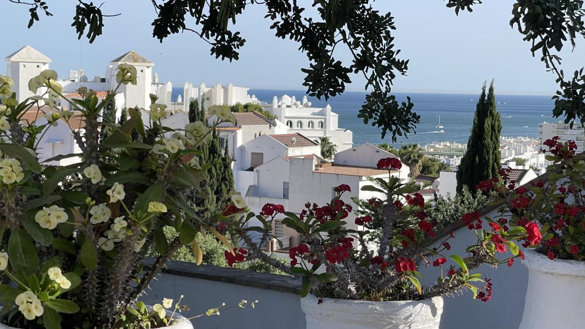 Terra Aloe Hotell Torremolinos Eksteriør bilde